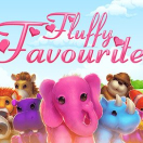Fluffy Favourites Demo